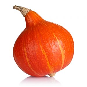 Hokkaido Kürbis im Online-Shop vom Dingholzer Hofkiosk