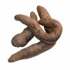 Kartoffeln Rote Hörner im Online-Shop vom Dingholzer Hofkiosk